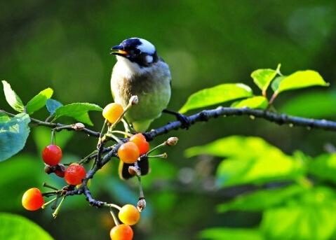 伴着清晨鸟鸣醒来,和湖光绿植做邻居,在星空下享受一晚没有车水马龙的