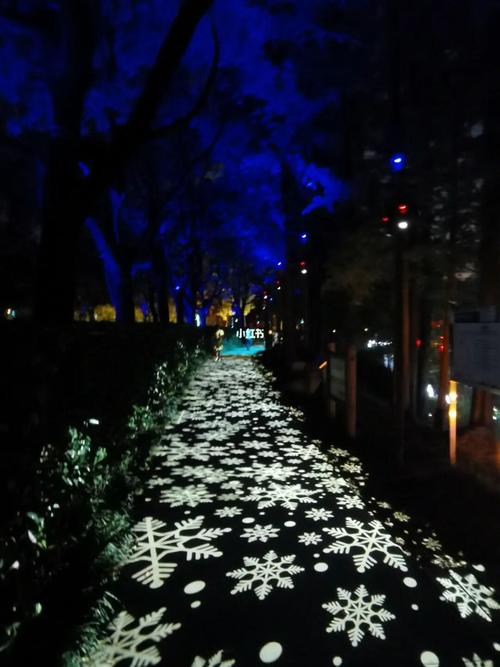 上海徐汇华泾公园夜景_景点_夜景_出行_人文风光展示_城镇乡村