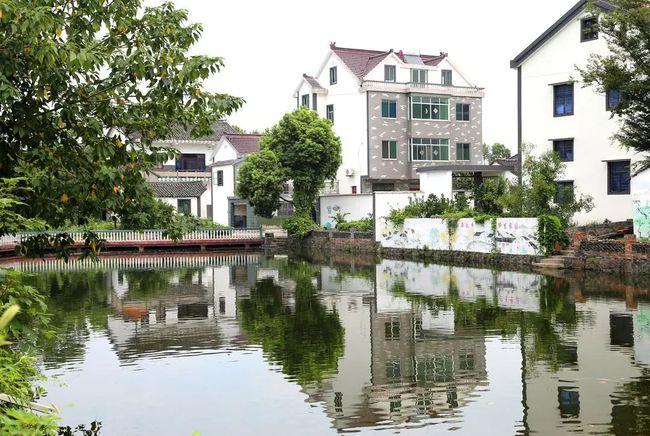 南湖区凤桥镇三星村   南湖区大桥镇由桥村   南湖区凤桥镇永红村