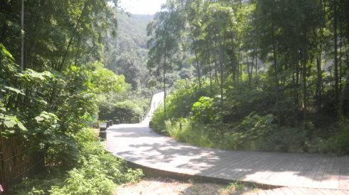 苏州通安树山景色