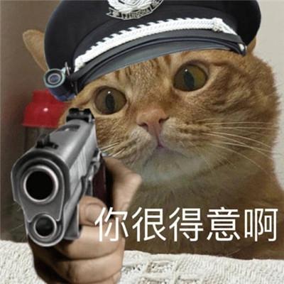 小猫咪警察搞笑表情包大全