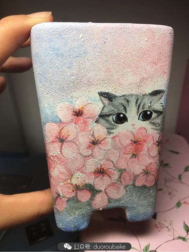 手绘多肉花盆:樱花躲猫猫,和小演一起玩捉迷藏吧!