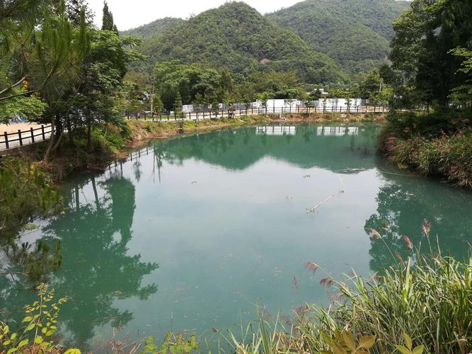 临海小芝碧水湾所见