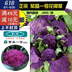 蔬菜菜种子 紫晶一号 紫花椰菜种子 菜花 花菜 紫色花椰菜 优质1