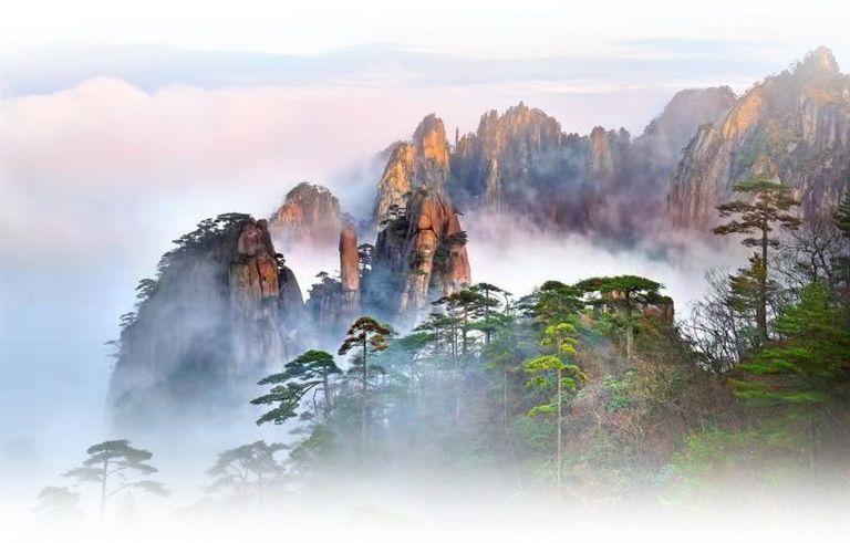 锐意奋进谋发展 蹄疾步稳开新局——黄山风景区高质量