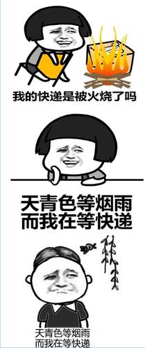 天青色等烟雨而我在等快递表情包 无水印版