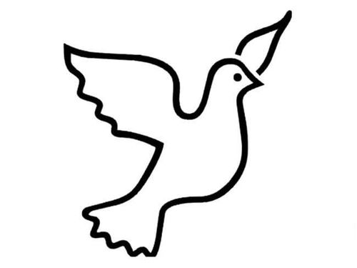 飞翔的和平鸽儿童简笔画图片_和平鸽儿童绘画作品图集 鸽子简笔画