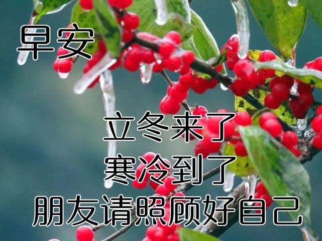最新立冬早上好动态表情图片大全,立冬早上好祝福语