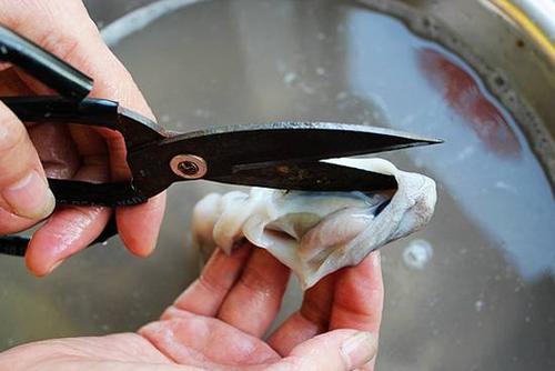 八爪鱼怎么清洗图解