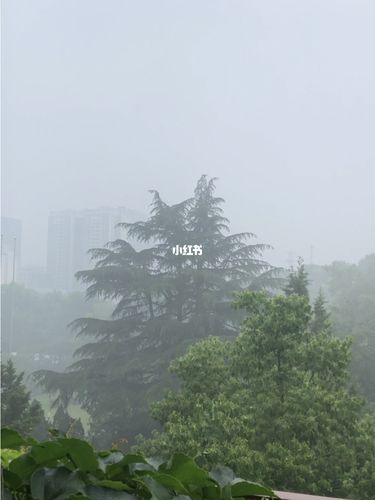 下雨时候,窗外烟雨蒙蒙_生活记录_接地气生活