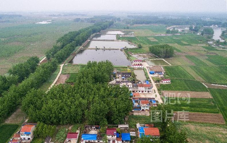 事件地点:合肥=>长丰县=>杜集乡