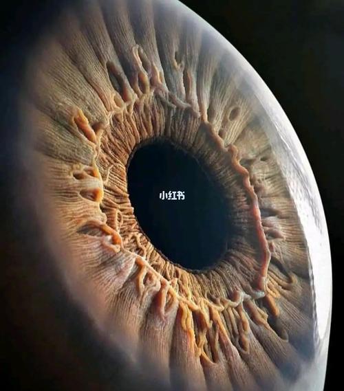 人类瞳孔放大特写!_摄影_摄影_摄影其他