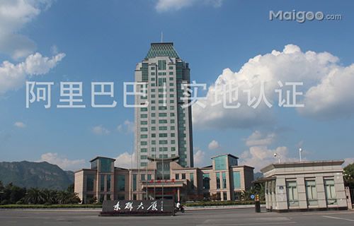 横店集团东磁股份有限公司