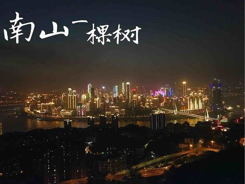 概况:南山风景区中的"南山一棵树"是重庆夜景最佳观测点之一.