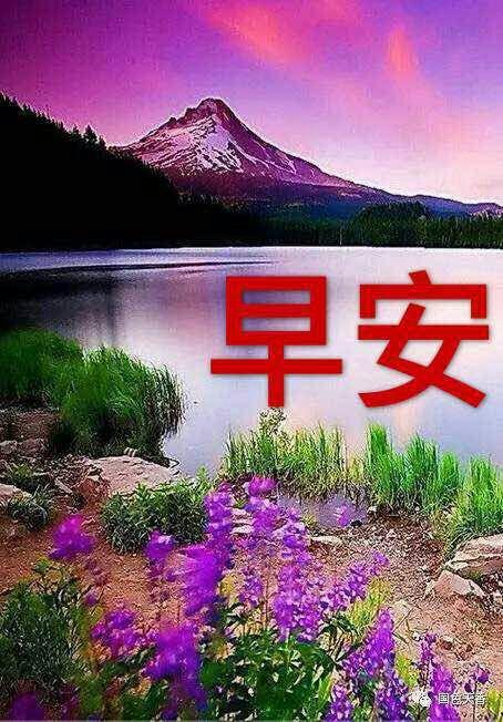 每天清晨一声问候,祝福朋友快乐幸福!现将已往的早安