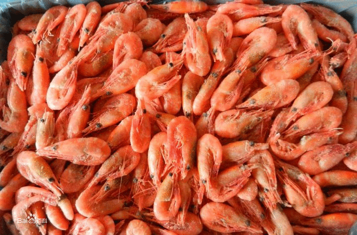 野生北极虾