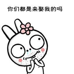 犯花痴可爱表情包