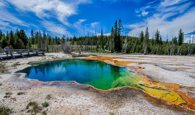 网易首页>网易号>正文申请入驻> 黄石公园地跨美国的三个大洲,公园内