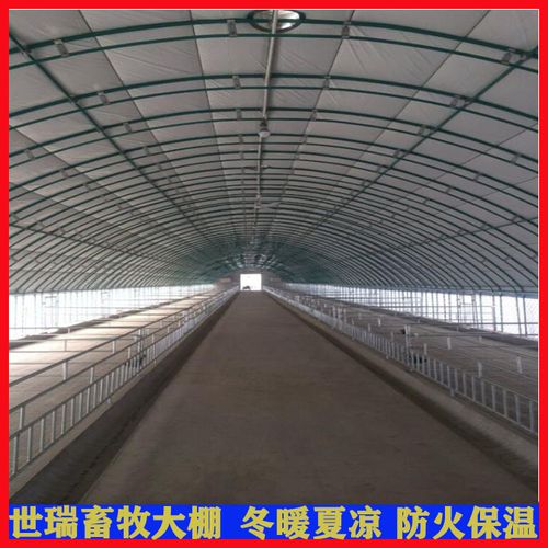 羊舍搭建 养羊棚施工成本 养羊大棚建设厂家