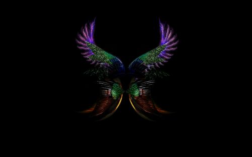 天使魔鬼翅膀 黑色宽屏桌面壁纸图片-桌面壁纸图片-9