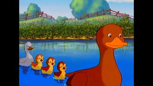 鸭妈妈领着小鸭子觅食