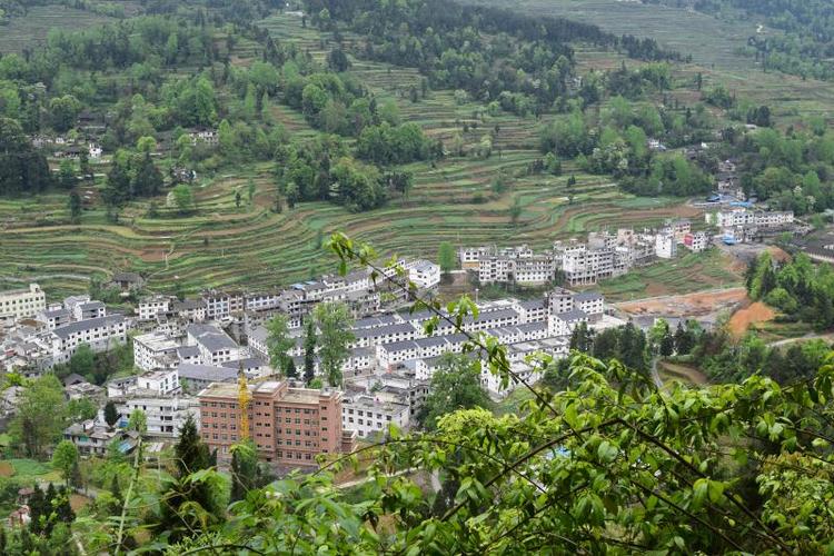 厚植生态优势,坚持绿色发展的中观镇