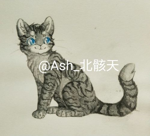 猫武士● 羽尾● 水彩● 猫 评论(4)热度(25)全文链接