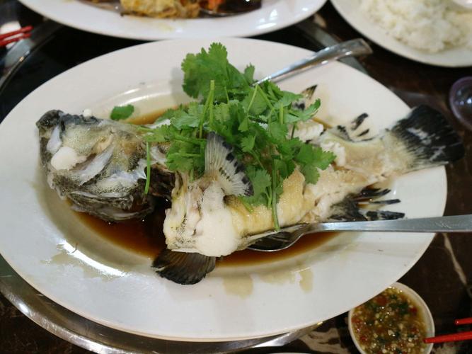 清蒸石斑鱼,鱼是新鲜的,味道却一般