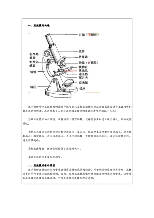高中生物.显微镜知识点精析及高中生物(人教版)重难点