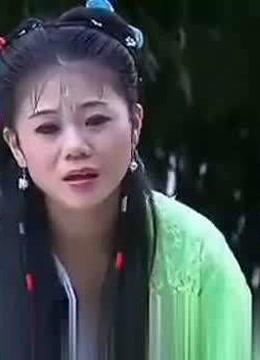 庐剧《洪牡丹》王小五,昂小红