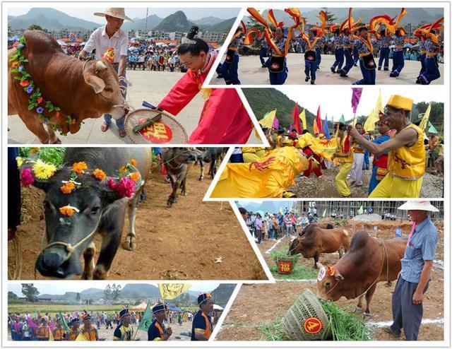 壮族牛魂节
