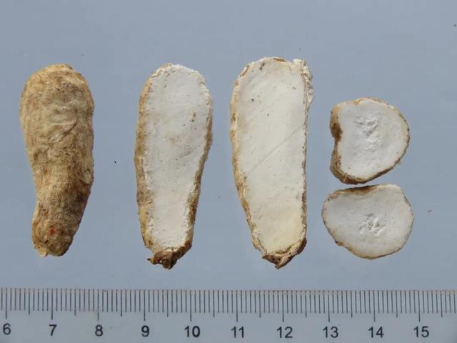 制白附片的功效与作用白附白附片的功效与作用