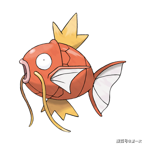 神奇宝贝卡片之——鸭嘴火兽,凯罗斯,肯泰罗,鲤鱼王,暴鲤龙