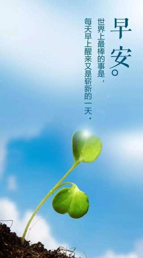 早上好正能量语录最新版 漂亮早上好问候语祝福表情