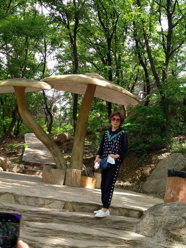 2020年6月9日——童牛岭芳草园