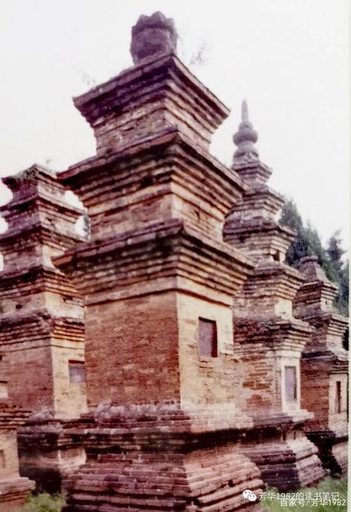 河南少林寺塔林 为唐宋以来一千多年间高僧的墓塔群,造型简单,数量极