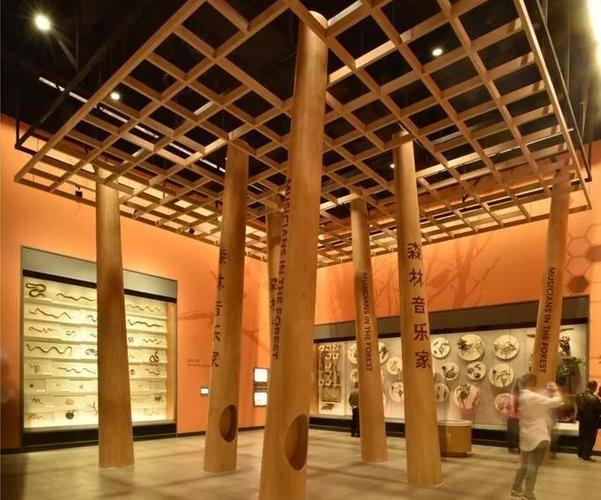 上海自然博物馆室内展陈照明设计