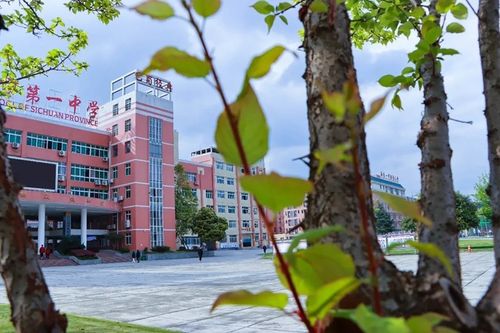 芳菲四月把南充一中的春天送给你