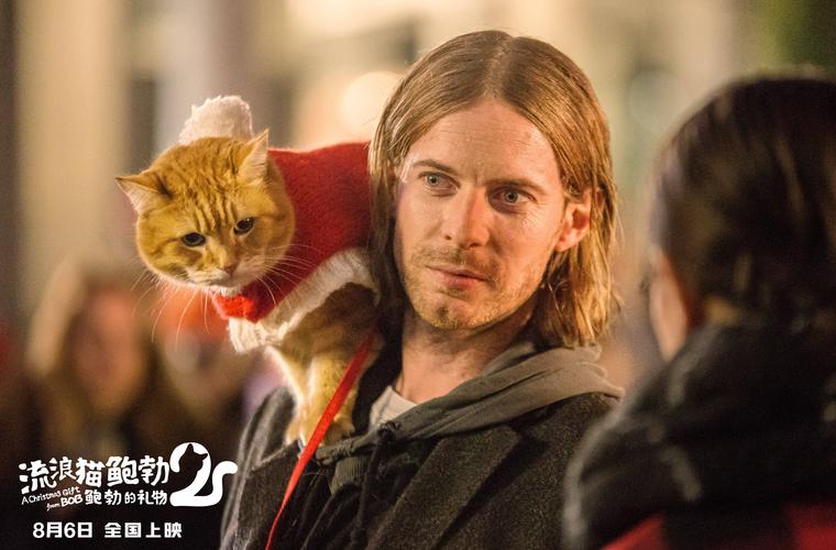 流浪猫鲍勃2鲍勃的礼物定档86中国内地上映鲍勃猫延续最后的温暖