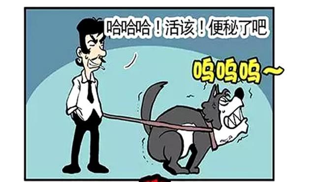 恶搞漫画:遛狗遇到最悲催的事