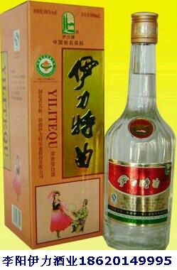 伊力特50度伊力特曲跳舞特