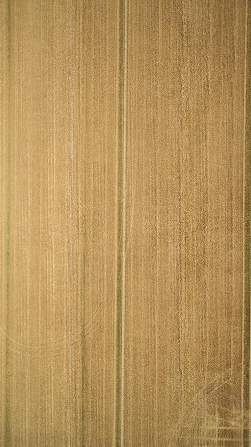 有木纹控吗我来分享一组我非常喜欢的木纹壁纸