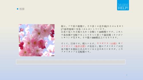 日语发表ppt 樱花 日本介绍