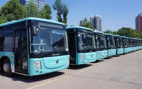 赣州这些路段夜间允许停车!