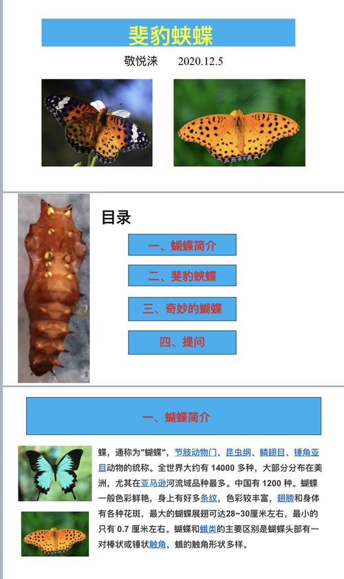 其它 小树苗活动78-斐豹蛱蝶 写美篇 斐豹蛱蝶蛹上的头部及翅鞘呈淡