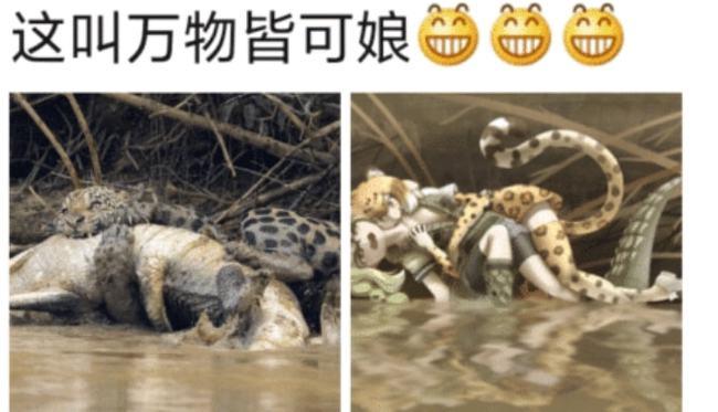 万物皆可娘豹子鳄鱼也一样啊