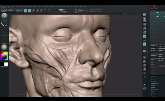 zbrush构建脸部肌肉和五官