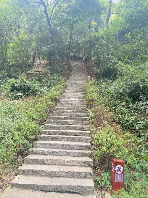 长沙今天天气太适合爬山了_长沙_景点_岳麓山_爬山_岳麓山攻略_岳麓