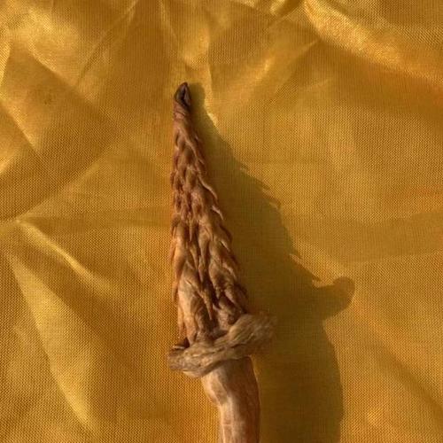 老的虎鞭价值倒底有多少