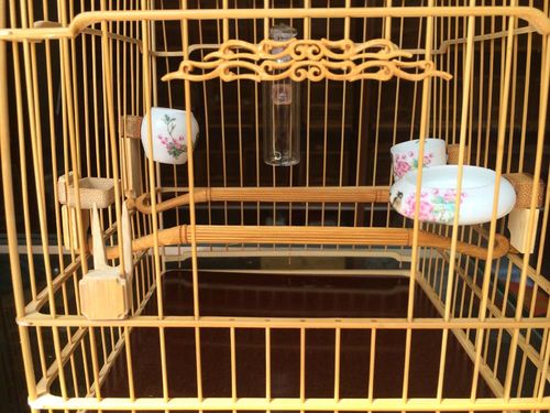 南京侯氏绣眼鸟笼苏州笼香草门特价优惠套笼绣眼亮笼绣眼板笼全配_7折